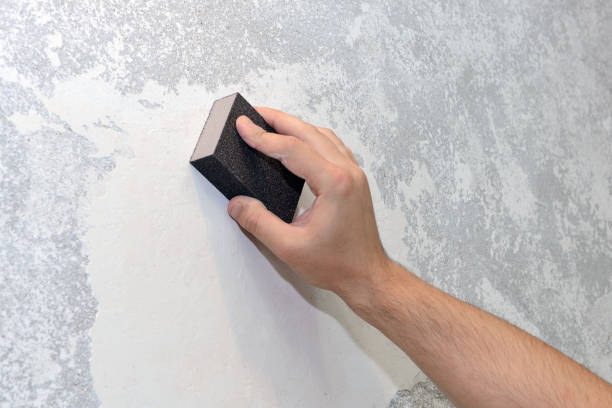 Reliable Jackson, MI Mold Removal Solutions