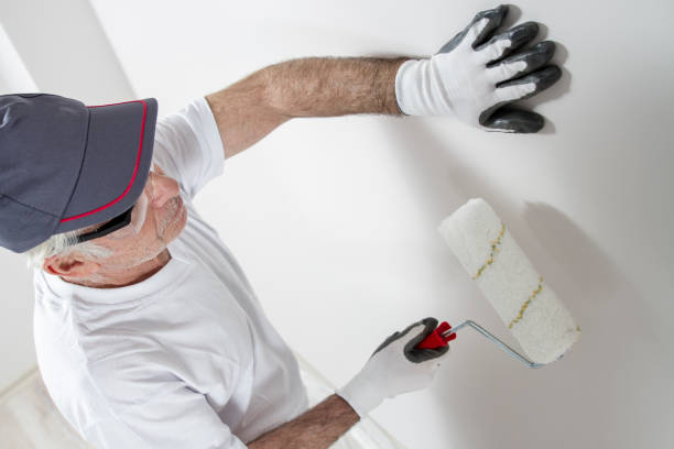 Best Residential Mold Inspection & Testing  in Jackson, MI