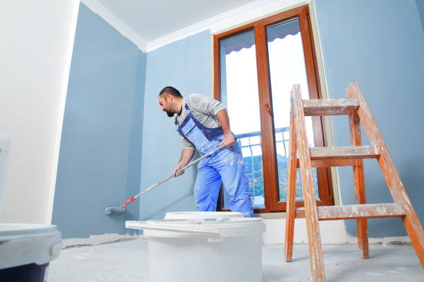 Best Water Damage & Mold Remediation  in Jackson, MI