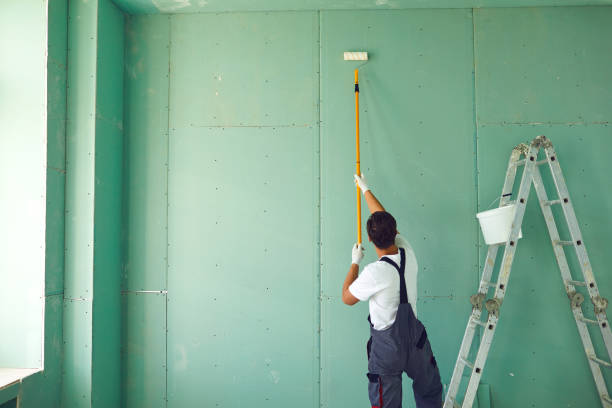 Best Mold Damage Restoration  in Jackson, MI