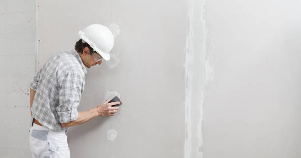 Best Real Estate Mold Inspection  in Jackson, MI