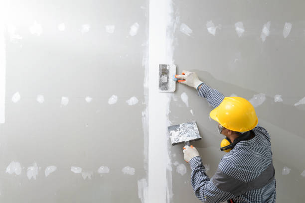 Best HVAC Mold Inspection and Cleaning  in Jackson, MI