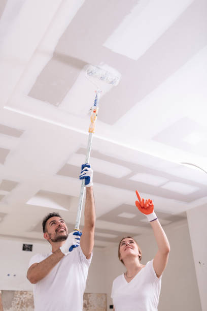 Reliable Jackson, MI Mold Removal Solutions
