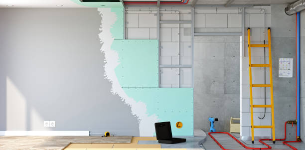 Best Mold Remediation for Vacation Homes  in Jackson, MI