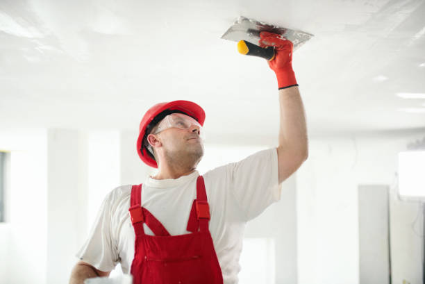 Best Residential Mold Inspection & Testing  in Jackson, MI