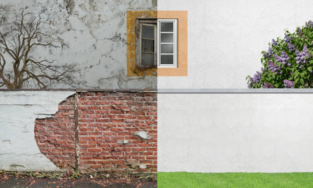 Best Comprehensive Air Testing for Mold Contaminants  in Jackson, MI