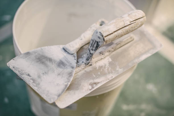 Best Crawl Space Mold Remediation  in Jackson, MI