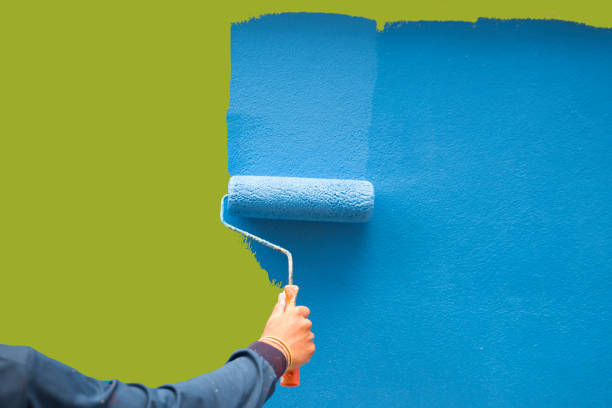 Best Black Mold Removal  in Jackson, MI